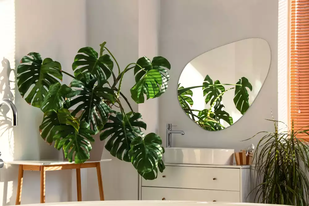 Espelho formato orgânico parede decorativa