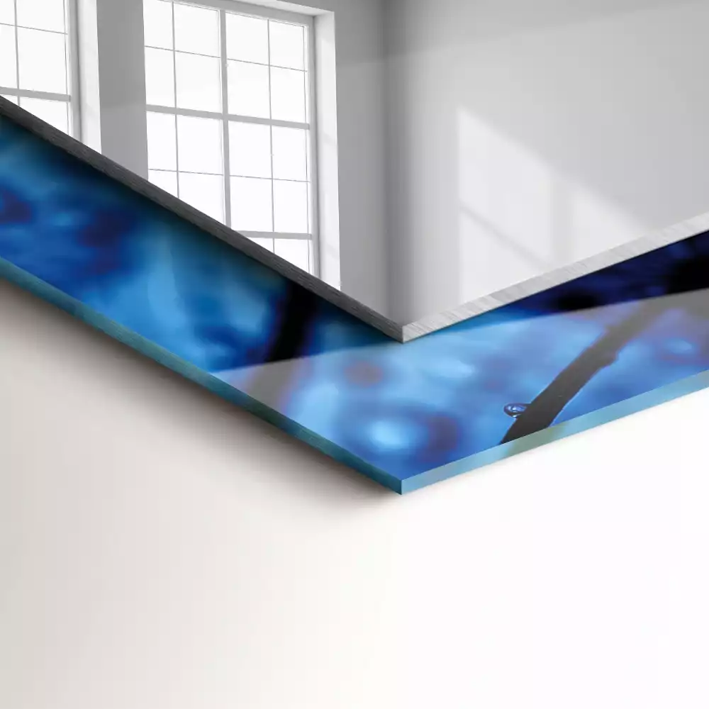 Espelho decorado Gotas em dentes-de-leão